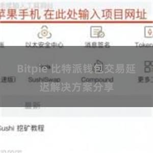 Bitpie 比特派钱包交易延迟解决方案分享