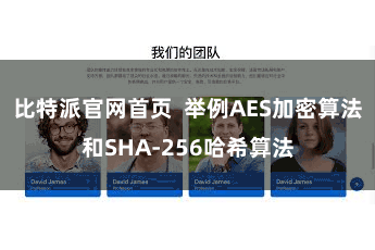 比特派官网首页  举例AES加密算法和SHA-256哈希算法