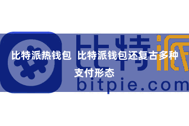 比特派热钱包  比特派钱包还复古多种支付形态
