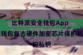 比特派安全钱包App  该钱包复古硬件加密芯片保护私钥