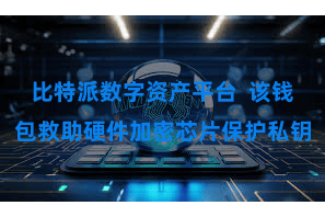比特派数字资产平台  该钱包救助硬件加密芯片保护私钥