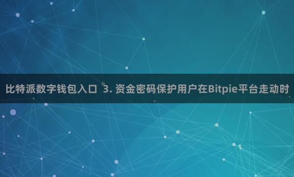 比特派数字钱包入口  3. 资金密码保护用户在Bitpie平台走动时