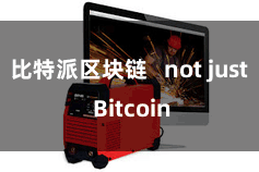 比特派区块链   not just Bitcoin